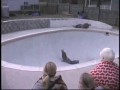 Upadek skatera