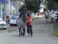 Lepiej nie klepać konia