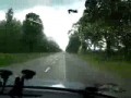 Niewiele brakowalo