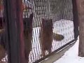 Najśmieszniejsze nazwy polskich miejscowości