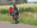 Szaleni motocykliści II