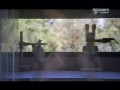 Discovery - Wszystko o pająkach 2