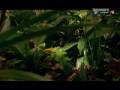 Discovery - Wszystko o pająkach 3