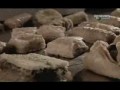 Jak to jest zrobione - Ciasto Fillo