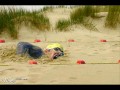 Surreal Sports - Extreme skills
