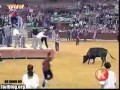 Byk vs Idiota