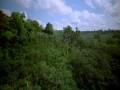 Amazon - HD 1080p