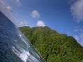Dolphins - HD 1080p