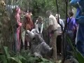 Remi Gaillard jako tarzan