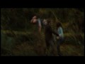 Księzyc w nowiu - Trailer