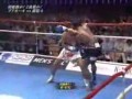 Buakaw Muay Thai Fighter