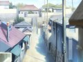WS2PL