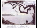 Niesamowite iluzje optyczne