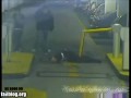 Szlaban + idiota