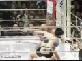 Pride Bushido 7