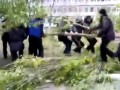Rosyjski policjant kontra drzewo