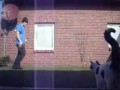 Breakdance cat