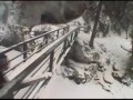 Snowboard Freestyle
