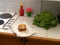 Dzika sałata