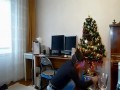 Uwaga na fajerwerki