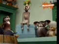 Pingwiny z Madagaskaru - Prawda życiowa