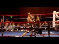 Boxing - Home Of Kings (2009)