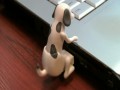 Piesek USB