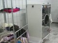 Największa plantacja konopii w Polsce