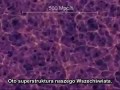 Podróż poprzez widzialny wszechświat