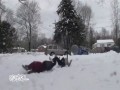 Pułapki domowe