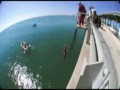 The Best of Jackass