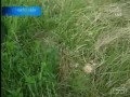 Wypadek Ghost Ridera