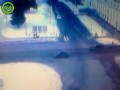 Złapany w kleszcze