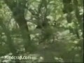 Wypadki rowerowe