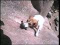 Pies alpinista