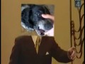 Beatbox Dog Sings Trololo