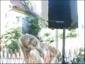 Adam i przyjaciele