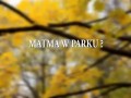 Znajomość matematyki