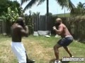 Kimbo
