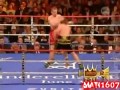 Tomasz Adamek Highlights