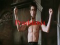 Bruce Lee - Game of Death Tribute