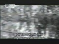 Zdumiewająca historia lamparcicy i jej ofiary