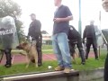 Policjant nie upilnował psa