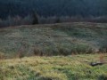 Daleki i celny rzut frisbee