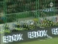 Gol Golonki z Mam Talent (Politycy - TVN)