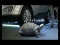 Hyundai zawstydził Top Gear