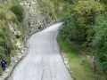 Wypadek na rajdzie