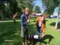 Niemiecka reporterka w akcji