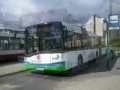 Darmowa przejażdżka autobusem