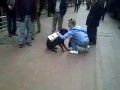 Agresywny kot atakuje psa
